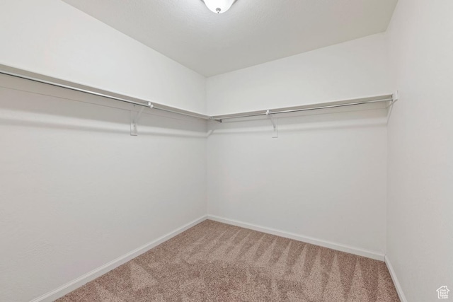 49 W Paper Bark St, Vineyard, UT 84059 - spacious closet featuring carpet floors