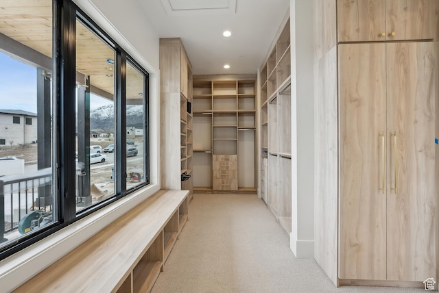 13042 N Prospector Way, Alpine, UT 84004 - spacious closet featuring light colored carpet