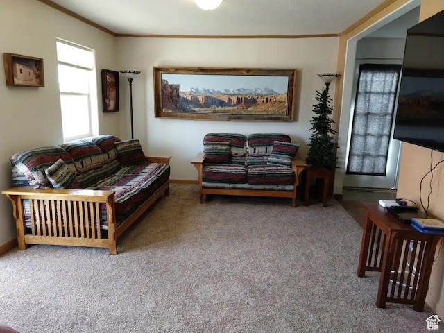 8 S 400 W, Blanding, UT 84511 - carpeted living area featuring crown molding and baseboards