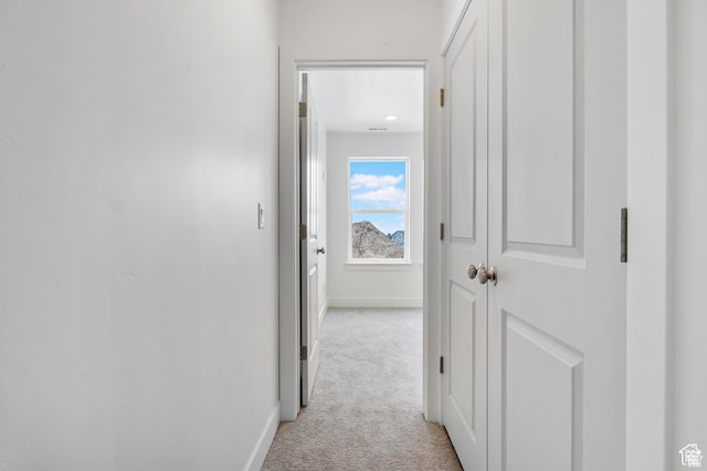 241 W 1160 N Unit 17, Tooele, UT 84074 - hall with light colored carpet and baseboards