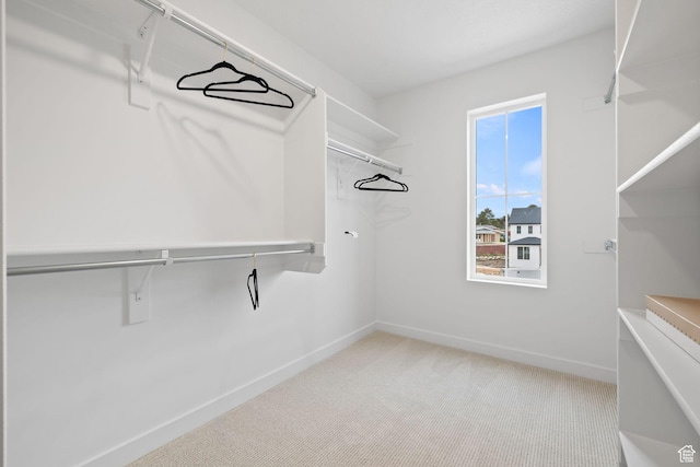695 N Plainsman Dr Unit 110, Spanish Fork, UT 84660 - walk in closet with carpet