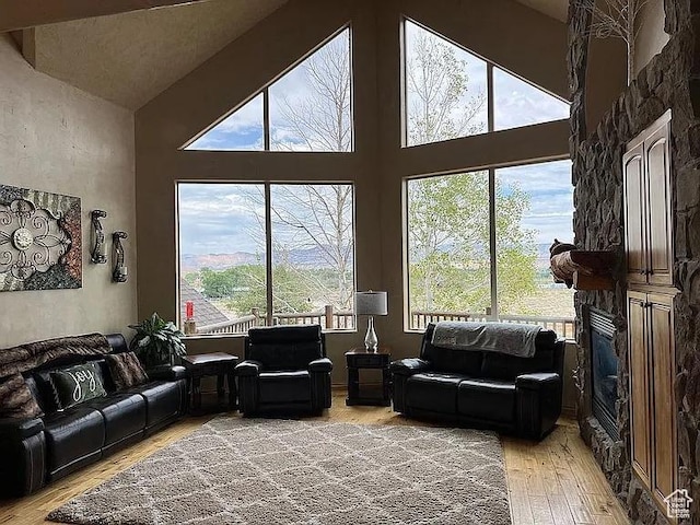 1345 W 1625 S, Price, UT 84501 - living area featuring light wood-type flooring, high vaulted ceiling, and a fireplace