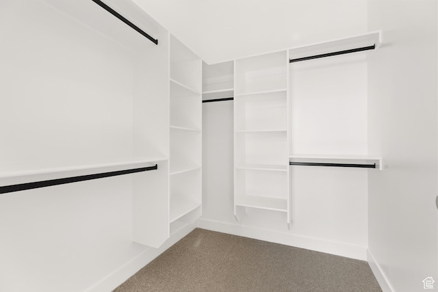 1522 N Zion Cir, Apple Valley, UT 84737 - spacious closet with carpet flooring