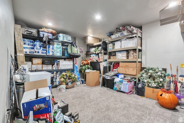 13907 S Birch Leaf W, Herriman, UT 84096 - view of storage room