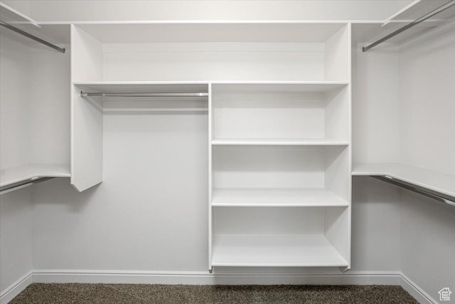 250 W 1200 S Unit 118, Tremonton, UT 84337 - spacious closet featuring carpet flooring
