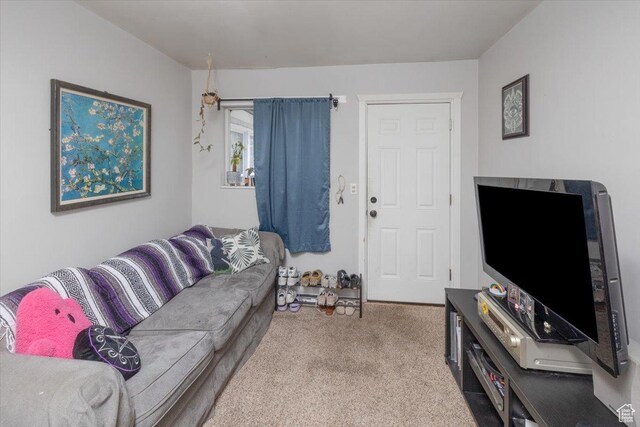263 W Center St, Logan, UT 84321 - view of carpeted living room