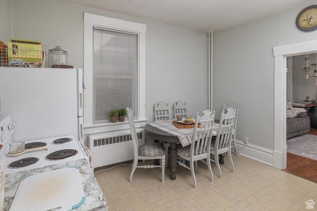 263 W Center St, Logan, UT 84321 - dining space with radiator and baseboards
