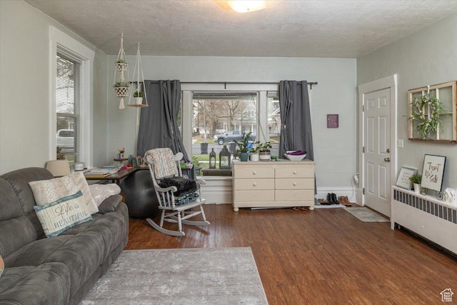 263 W Center St, Logan, UT 84321 - living room with radiator heating unit, a textured ceiling, and wood finished floors