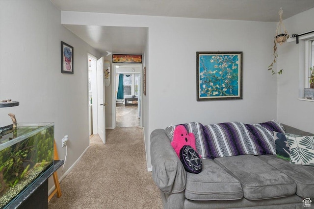263 W Center St, Logan, UT 84321 - living area featuring carpet floors and a healthy amount of sunlight