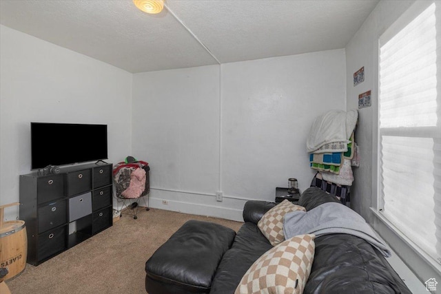 263 W Center St, Logan, UT 84321 - sitting room with carpet flooring and a textured ceiling