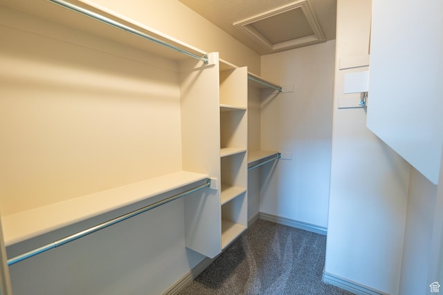 spacious closet with attic access and dark colored carpet