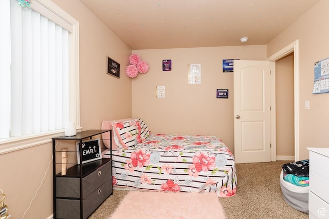 787 S 2nd W, Preston, ID 83263 - view of carpeted bedroom