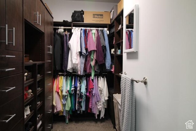 987 W 880 N, American Fork, UT 84003 - spacious closet with carpet