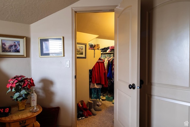 931 E Bramble Way, Washington, UT 84780 - interior space featuring lofted ceiling, carpet floors, and a textured ceiling