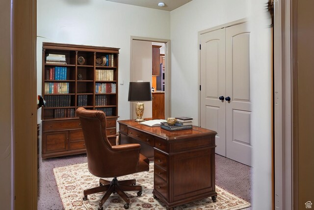 931 E Bramble Way, Washington, UT 84780 - view of home office
