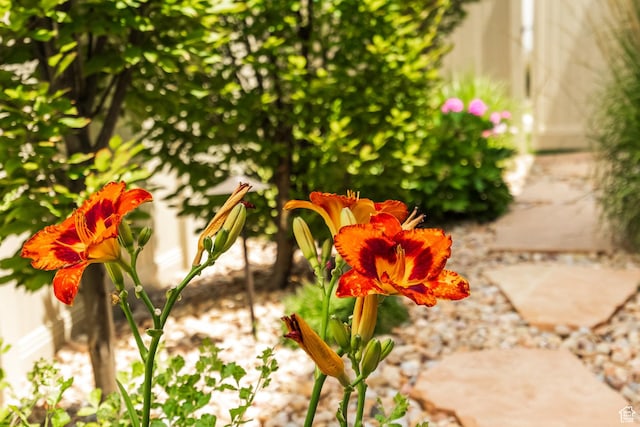 14902 S Fawley Ln, Herriman, UT 84096 - photo 44