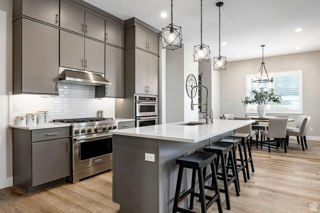 14902 S Fawley Ln, Herriman, UT 84096 - kitchen with light wood-type flooring, under cabinet range hood, a sink, appliances with stainless steel finishes, and backsplash