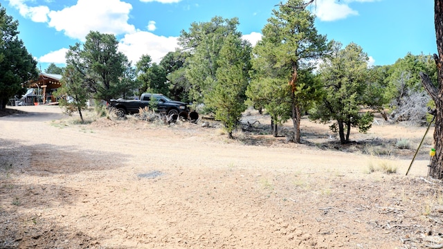 view of local wilderness