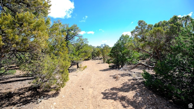 view of landscape