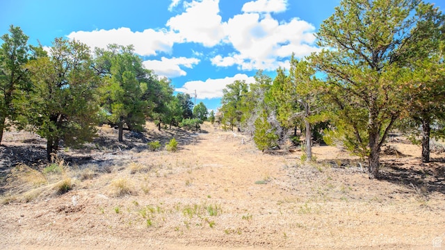 view of local wilderness