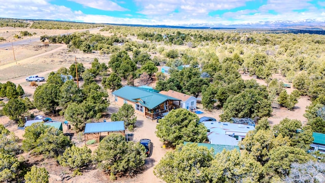 drone / aerial view