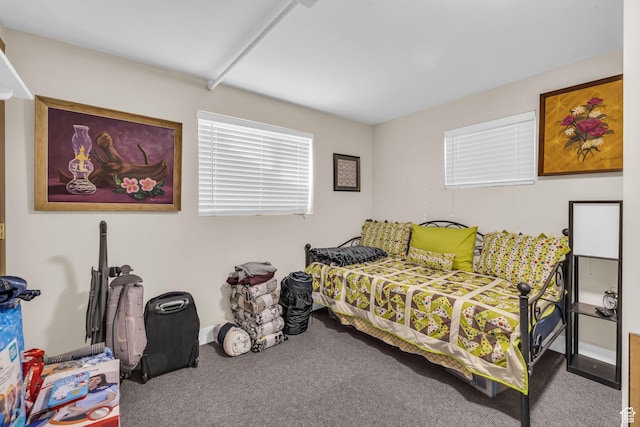 bedroom with carpet flooring