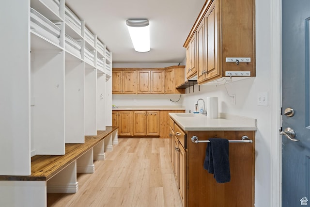 2711 N Deer Meadow Dr, Lehi, UT 84043 - mudroom featuring a sink and light wood finished floors