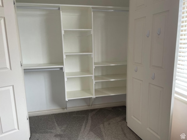 view of closet