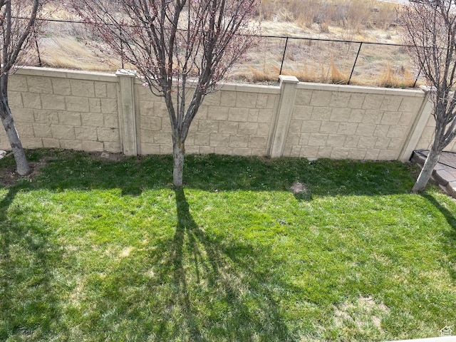 view of yard with a fenced backyard