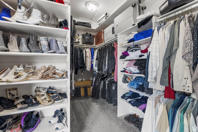 13053 S 1300 W, Riverton, UT 84065 - view of walk in closet