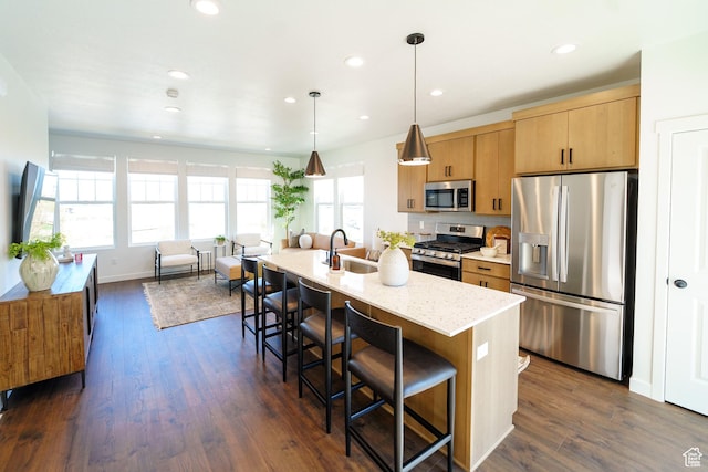 kitchen featuring dark wood-type flooring, a sink, plenty of natural light, and appliances with stainless steel finishes