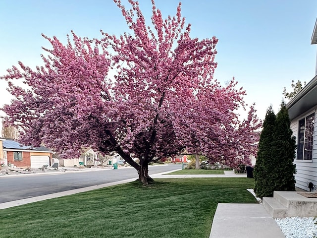 1468 S 100 W, Orem, UT 84058 - view of yard