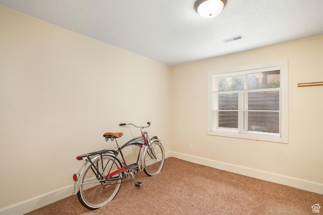 misc room with carpet flooring, baseboards, and visible vents