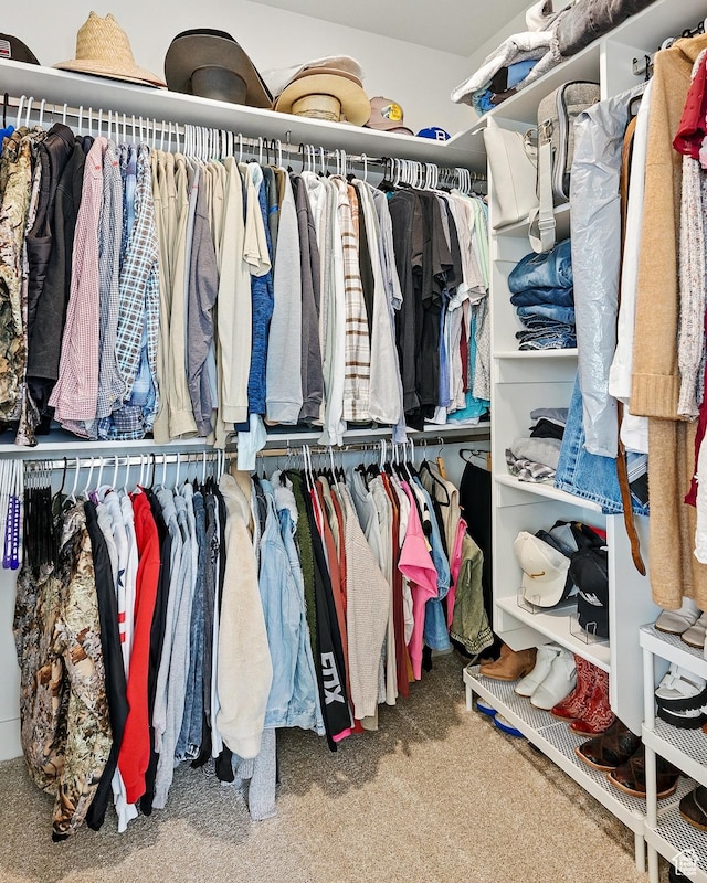walk in closet with carpet floors