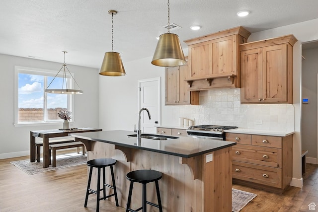 kitchen featuring backsplash, a sink, stainless steel gas stove, and light wood-type flooring