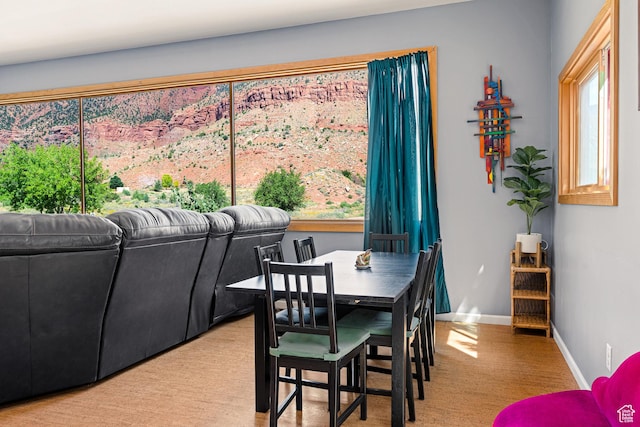 35 Lion Blvd, Springdale, UT 84767 - dining room with baseboards and a healthy amount of sunlight