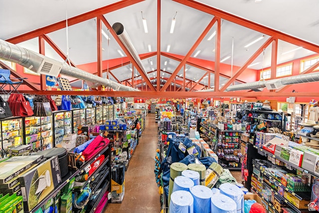 35 Lion Blvd, Springdale, UT 84767 - interior space featuring vaulted ceiling
