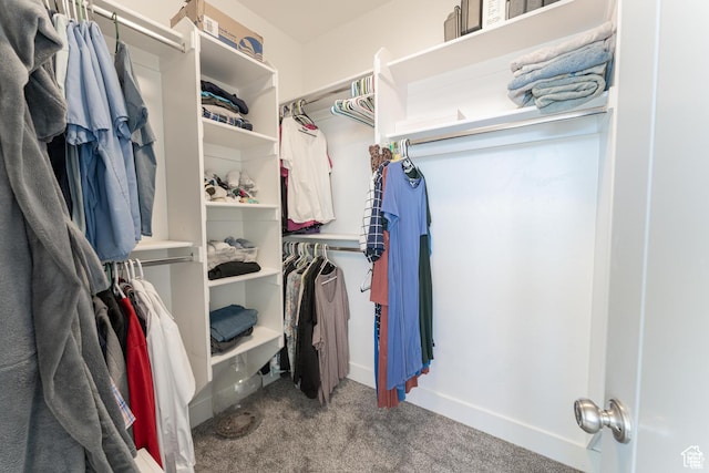1009 E High Creek Rd, Cove, UT 84320 - spacious closet featuring carpet