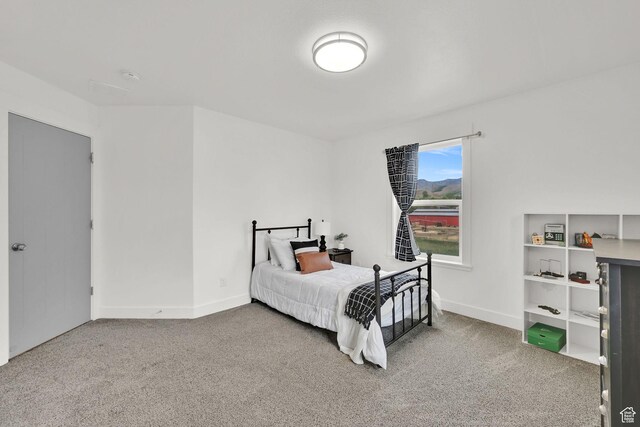 1009 E High Creek Rd, Cove, UT 84320 - photo 40