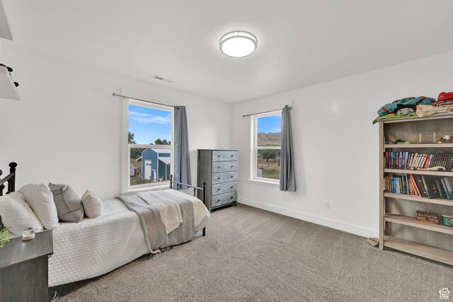 1009 E High Creek Rd, Cove, UT 84320 - photo 42
