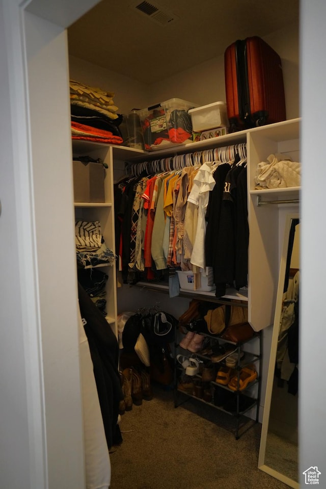 160 S 550 E Unit 18, Enterprise, UT 84725 - walk in closet with carpet flooring and visible vents