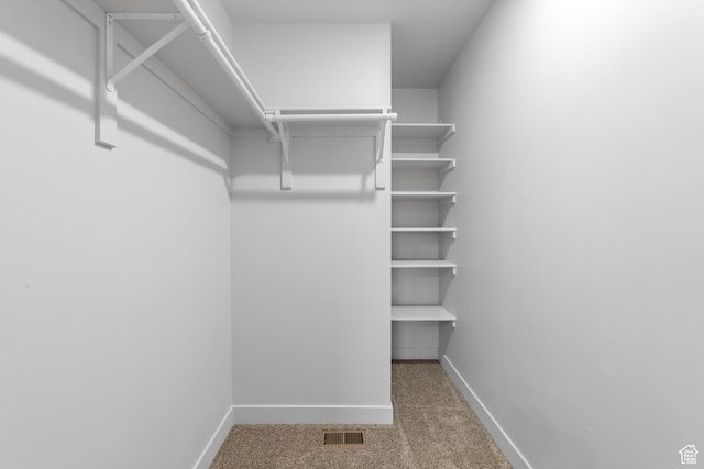 245 E Tidwell Ave Unit 5, Green River, UT 84525 - spacious closet with carpet and visible vents