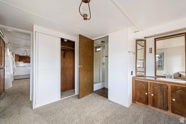 102 N 3910 W, Hurricane, UT 84737 - unfurnished bedroom with a closet, a sink, and light colored carpet