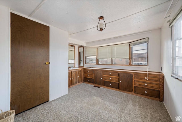 102 N 3910 W, Hurricane, UT 84737 - interior space with light colored carpet, brown cabinets, and a textured ceiling