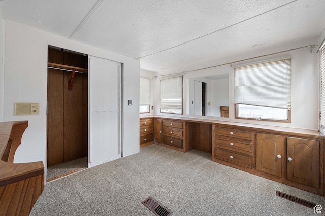 102 N 3910 W, Hurricane, UT 84737 - bathroom featuring carpet floors, a textured ceiling, and visible vents