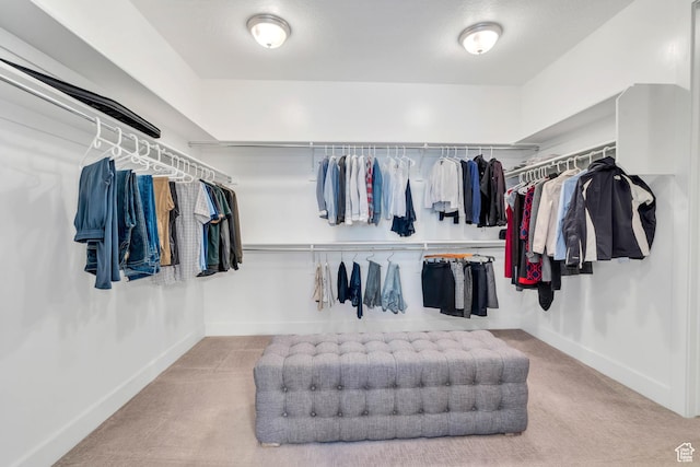 680 S Appenzell Ln, Midway, UT 84049 - walk in closet featuring carpet floors