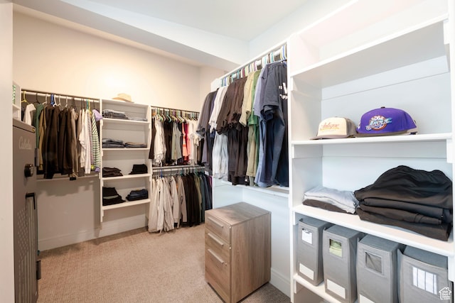 52 N 400 W, Farmington, UT 84025 - spacious closet featuring carpet flooring