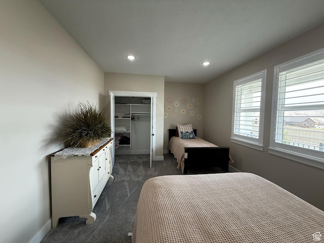 1240 W 2360 N, Helper, UT 84526 - bedroom featuring dark colored carpet, recessed lighting, a spacious closet, baseboards, and a closet
