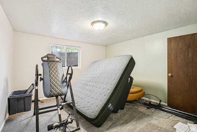 1349 E Madera Hills Dr S, Bountiful, UT 84010 - exercise room featuring carpet flooring, a textured ceiling, and baseboards