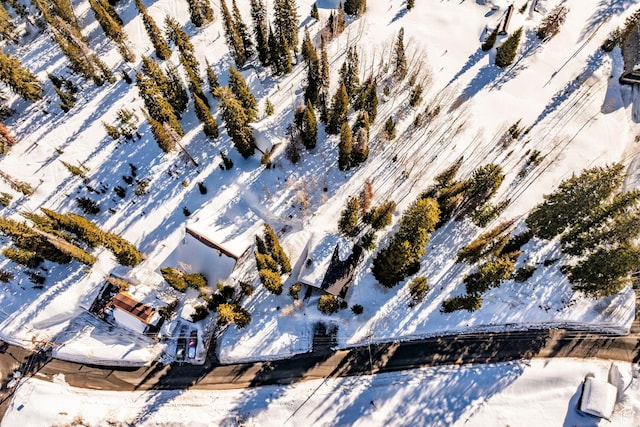 8330 S Brighton Loop Rd, Brighton, UT 84121